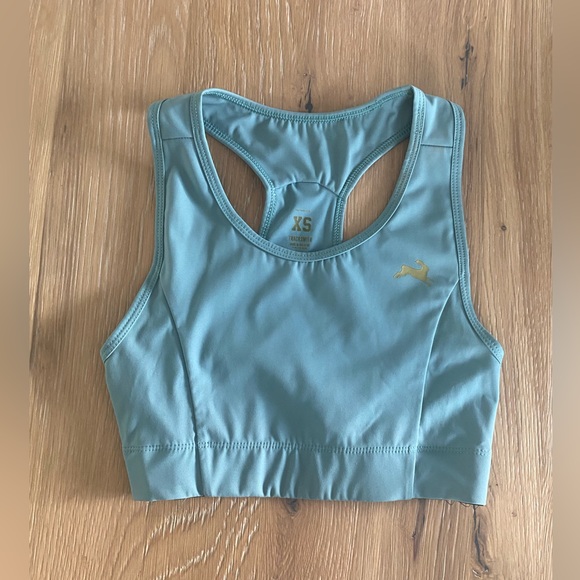 Tracksmith Other - Tracksmith Allston Bra - XS (Lake)